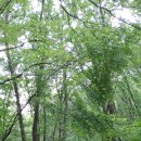 나막골약수터 이미지