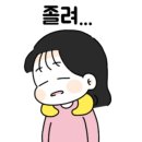 황금돼지꿈나라