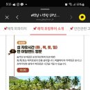 해적씨푸드 네이버블로그