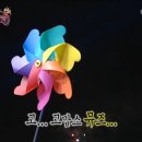 고뮤즈