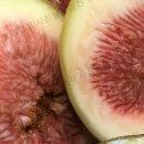 해남농장 이미지