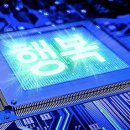 지난 주말에 유럽 5대 리그에서 한국 선수들 골 폭풍 모음 gif 이미지