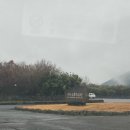 제주돌문화공원 | 🗿한국관광100선 ‘제주돌문화공원’ 자연공원 후기🗿