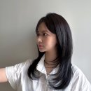 정혜영헤어