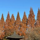 대도큰섬마을어린이공원 | 진주 가볼만한 곳 ‘경상남도수목원’🌲/ 진주수목원 프로방문러의 루트추천 / 창원,마산 가볼만한곳