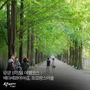 메타길5(어린이프로방스) 이미지