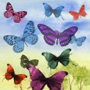 플러스컴퓨터학원 이미지