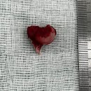 베스트 프렌즈 동물병원 이미지