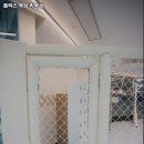 플렉스 복싱 킥복싱 | 금천구청역 헬스장 추천 플렉스 복싱 킥복싱 / 월간 보험소식지