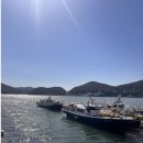 심플인플란트치과의원 이미지