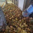 황금센타PC방 | 12월 일상 절여졌던 한해의 마지막 달