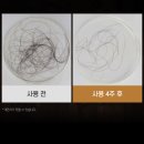 섬밋헬스케어주식회사 | [탈모 케어] 닥터라파알 독일 맥주효모 탈모샴푸 상세 리뷰 (비오틴, 피톤치드, 1L 2개 구성)