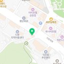 로얄펫 강아지분양 고양이분양 전주본점 이미지