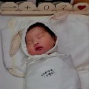 박세영 카카오 검색결과