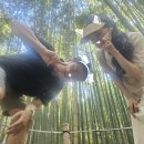 유니네뜨개인형 | 6월 교토여행 기록(아라시야마/아라비카커피/청수사/로프트/볼앤체인)