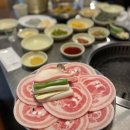다비치안경 화명점