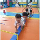 블랙벨트 체육관 이미지