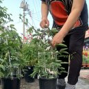 만물농원 이미지