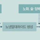 나이가 들면 몸에 특유의 냄새가 나는 원인 이미지