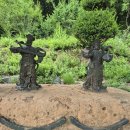 화련한 상불사 백일홍 이미지