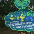 이화숲유치원 이미지