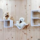 거제메모리키즈풀빌라 이미지