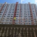 고산로250번길 이미지