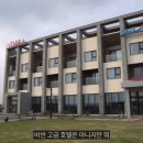제주 티라호텔 긴급 청소점검 후기 (ft. 닥신TV 신제욱)