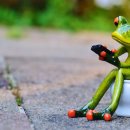 광지한의원 이미지