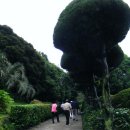 용천2리 이미지