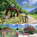 노원구 아이들과 나들이 가기 좋은곳 (노원구 6월 축제) 힐링노원