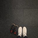 강아지를 미용하는 여자 | 12월 둘째주.