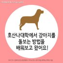 호산나 이미지