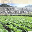 농산물한식뷔페 이미지