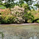 억불산민박 이미지