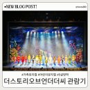 문화가 있는 날 [함께 걷는 공연 나들이] 4회차 신나는 우리춤 <얼쑤, 절쑤> | 가족뮤지컬 더 스토리 오브 언더더씨 아이와 함께 한 문화생활 후기