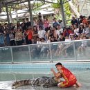 대국골프 이미지