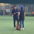 하남애견훈련소 이미지