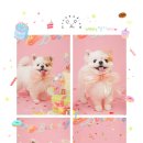 해피몽스데이 이미지