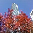 안양시청 앞 이미지