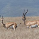 포유테크 이미지