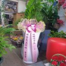 현대수족관 이미지