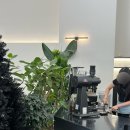 알티비 커피(RTB COFFEE)