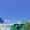 [대구 가볼만한곳] 대구 산격동 &#39;펙스코(FXCO)&#39;