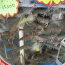 샘골수산 이미지