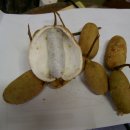 비산4리 이미지