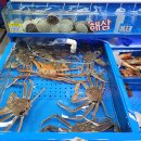 송파유통