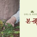 본죽 ( 계양점 ) 이미지