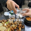 예미원아파트 | 제대로된 맛있는 막창이 먹고 싶을 땐 천안 성환 로컬 맛집 &#39;청춘막창대창&#39;