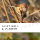 우리하숙 - 보령시 오천해안로 7 | 우리하숙